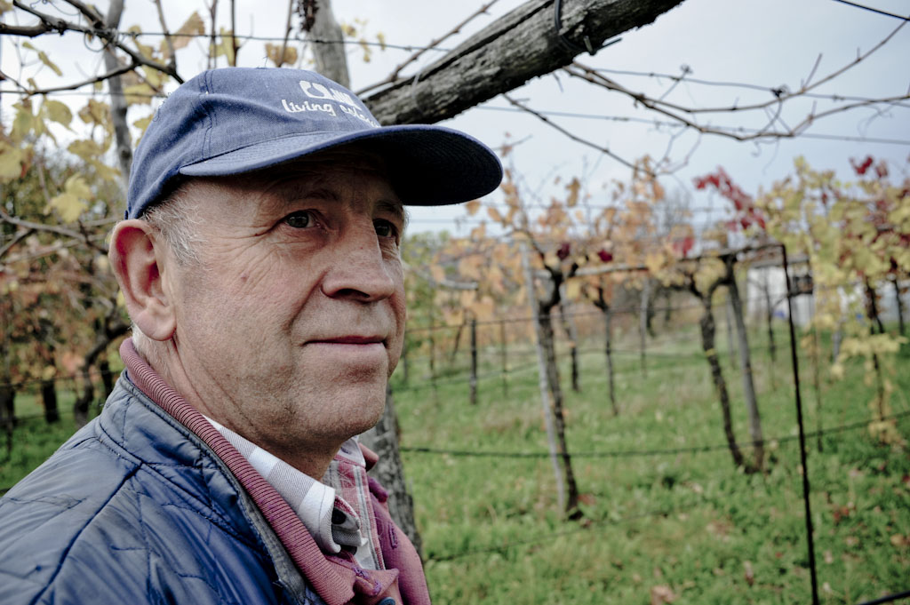 Emil Tavcar a Dutovlije, produttore di vini naturali nel Carso Sloveno, Vitovska e Malvasia