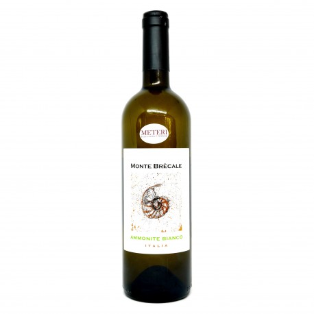 Ammonite Bianco 2019 - Monte Brecale Az. Agr.