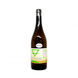 Vino Bianco Vurgo IGP Terre Siciliane 2022- VITEADOVEST