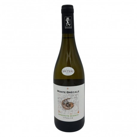 Ammonite Bianco 2018 - Monte Brecale Az. Agr.