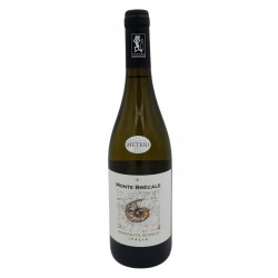 Ammonite Bianco 2023 - Monte Brecale Az. Agr.